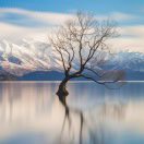 kuankuan's father 头像