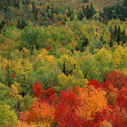 zxp125bnb2005 头像