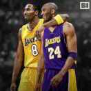 打不死的小强 头像