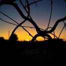 真不知道叫啥 头像