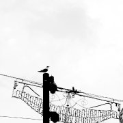 123是我我就是123 头像