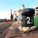 舒妍今年要读36本书 头像