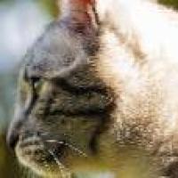 好好奋斗1986 头像