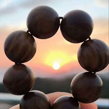 我的一些想法 头像