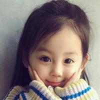 诉讼可视化 头像