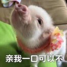 小开星😊😊 头像