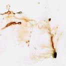 噚爫另一只拖鞋 头像