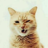 请输入15位字符以内的昵称 头像