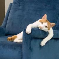 李嘉辉_设计二院 头像