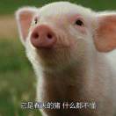 你惯的啊! 头像