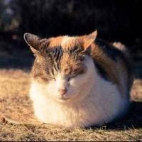 永恒→幻灭! 头像