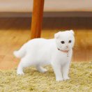 ［微信红包］ 头像