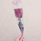 掌门培训师小花老师 头像