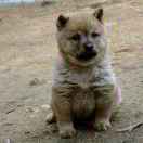 junze_tianjian 头像