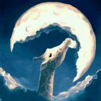 吃月亮的鹿 头像