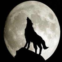 落叶纷飞121 头像