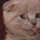 yooo9ooooo9ooO 头像