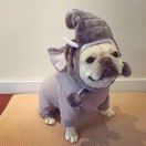 难以捉摸的人儿啊! 头像