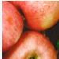 袅袅娜娜牛牛 头像