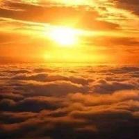 飞翔中的雪 头像