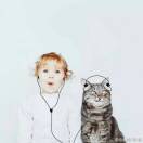 那只猫很懒 头像