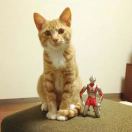 大兄弟竹子 头像