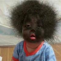 积极的毛球 头像