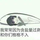 The creator who rules the world 头像