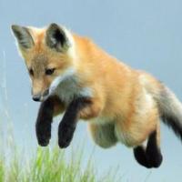 当前昵称已经被使用哇啦啦 头像