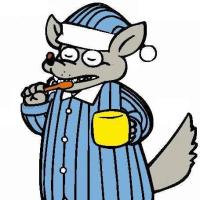 老狼一不小心 头像