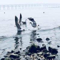 玻璃瓶1314 头像