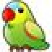 自由呼吸123 头像