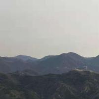 三只荷包蛋@SYE 头像