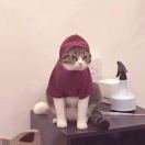 益达益达益达达 头像