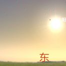 东哥 头像