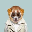 私家刊有跳票 头像