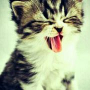 杜甫忙不忙 头像