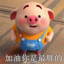 哈喽小胖子 头像