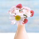 于珍珍brightness 头像