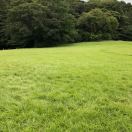 啦啦啦啦白 头像