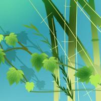 向阳花开的幸福 头像