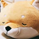 凤梨帝🍍🍍 头像