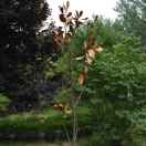 不要忘了它 头像