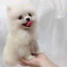 ! 头像