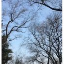 请戴上你的工牌 头像