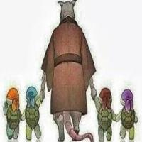 developer_xiao 头像