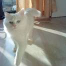 北欧也下沙 头像