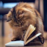 process_water 头像