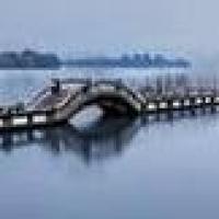 仰望、未来 头像