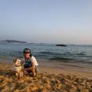 沙漠有花海 头像